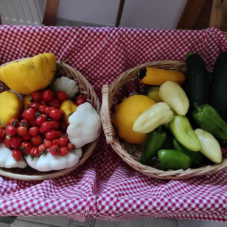 Garden Apartments Jansa Radovljica Zewnętrze zdjęcie