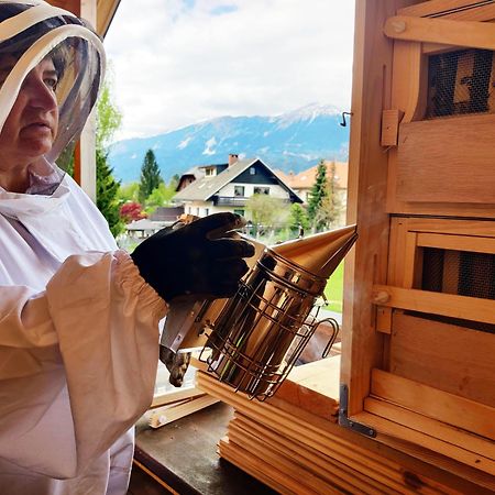 Garden Apartments Jansa Radovljica Zewnętrze zdjęcie