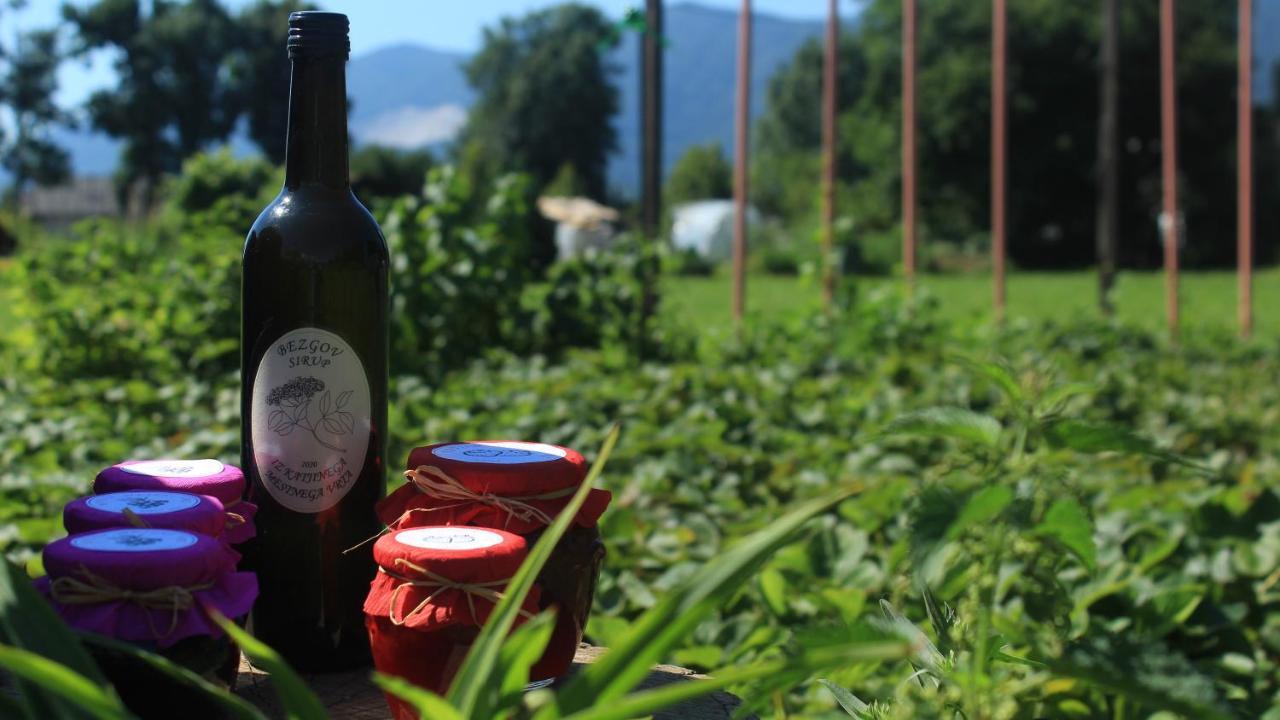 Garden Apartments Jansa Radovljica Zewnętrze zdjęcie