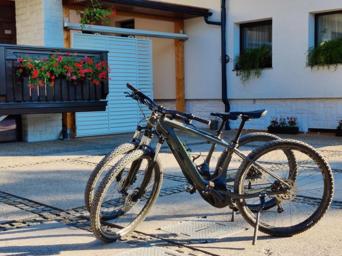 Garden Apartments Jansa Radovljica Zewnętrze zdjęcie