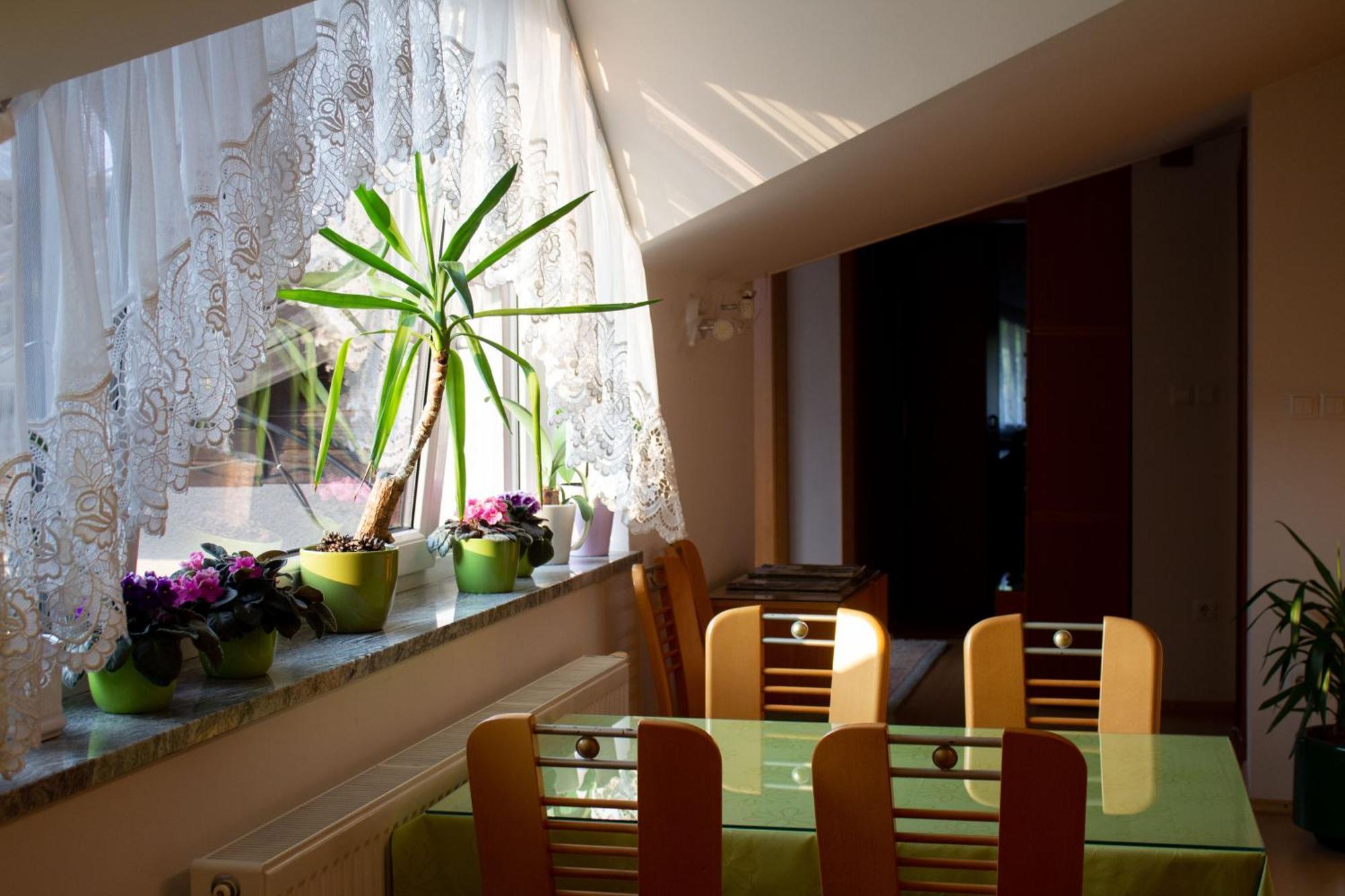 Garden Apartments Jansa Radovljica Pokój zdjęcie
