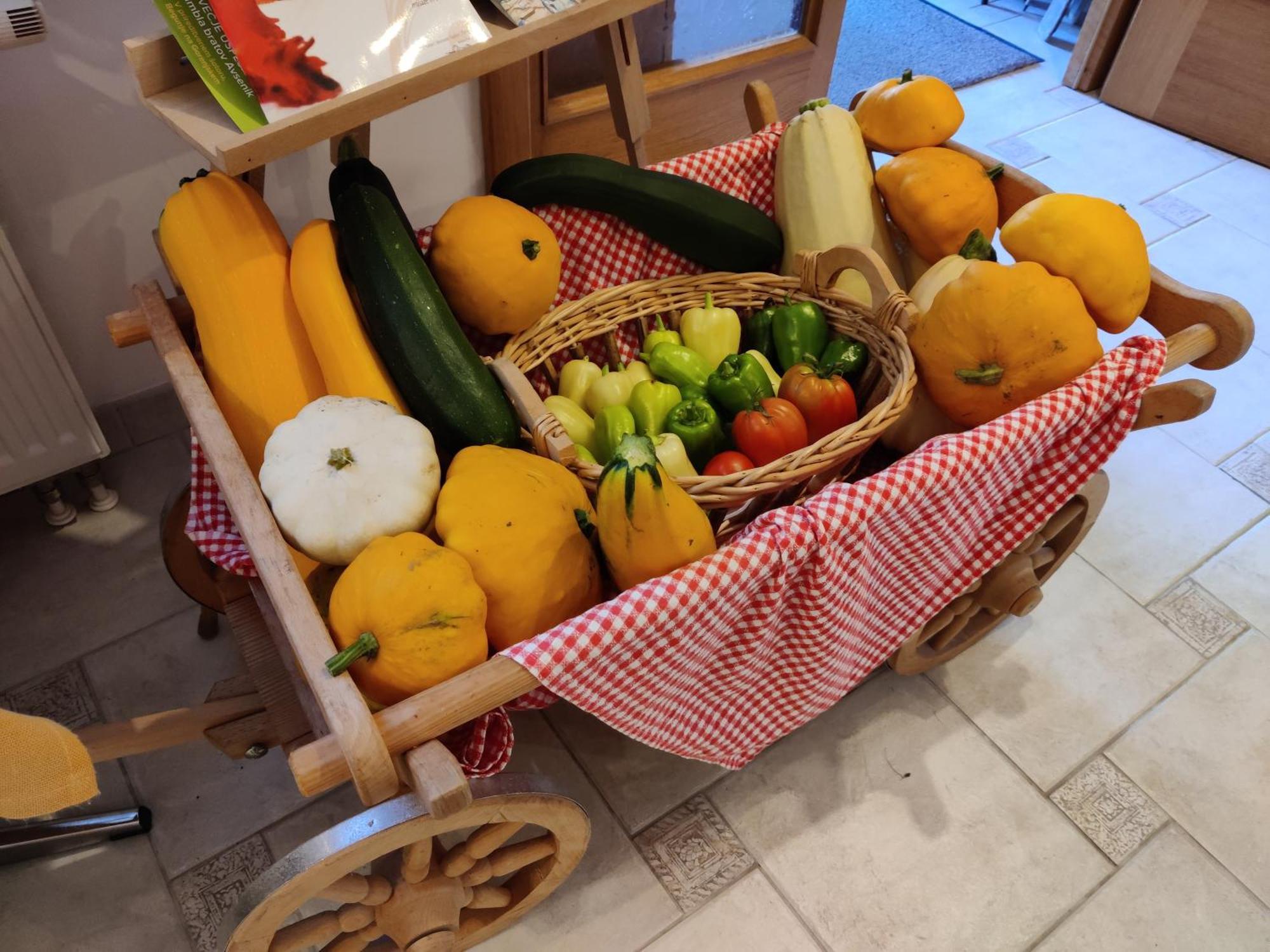 Garden Apartments Jansa Radovljica Zewnętrze zdjęcie