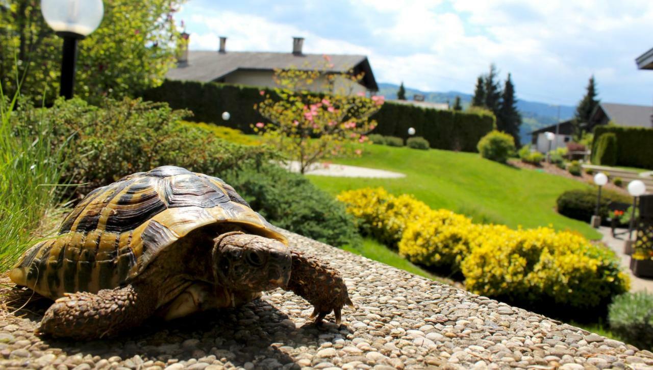 Garden Apartments Jansa Radovljica Zewnętrze zdjęcie
